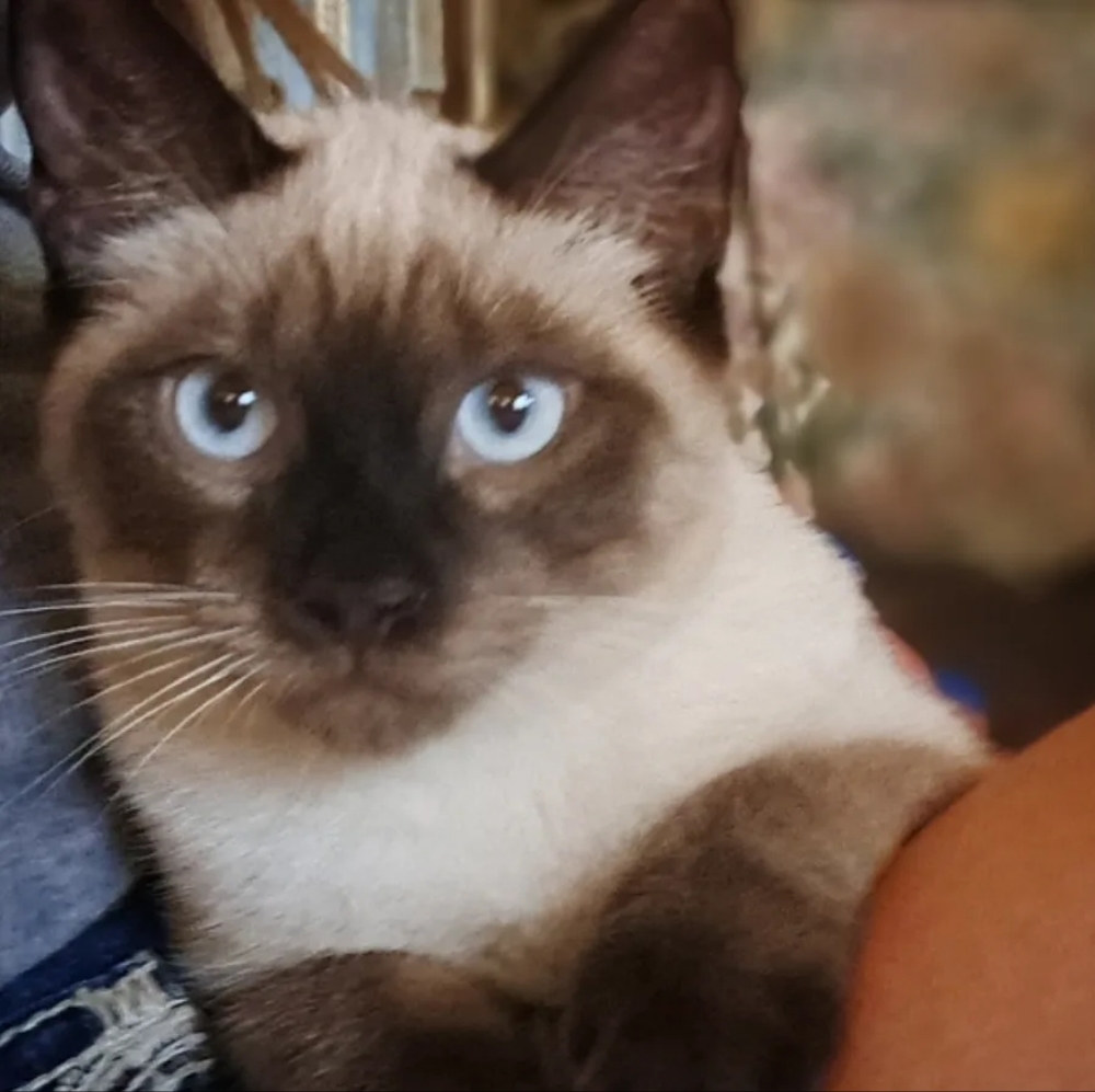 Meet your Posher, Michelle - Picture 11 of 11